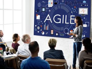 Agile Agility Nimble Quick Fast Volant Concept