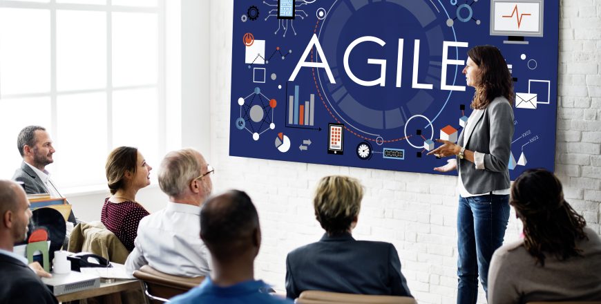 Agile Agility Nimble Quick Fast Volant Concept